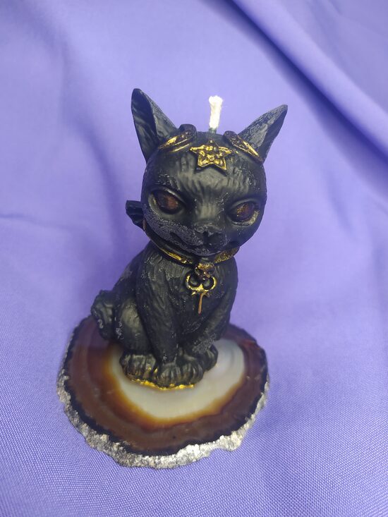 Магический кот 