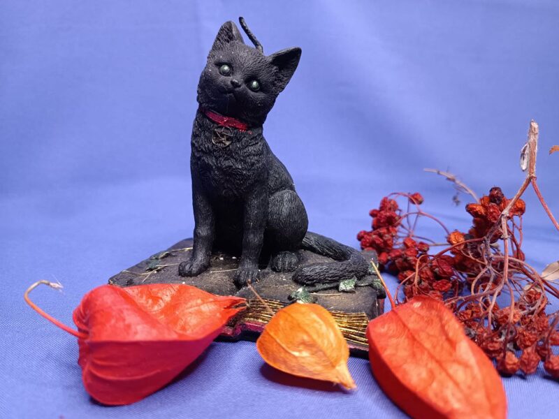 Black Cat