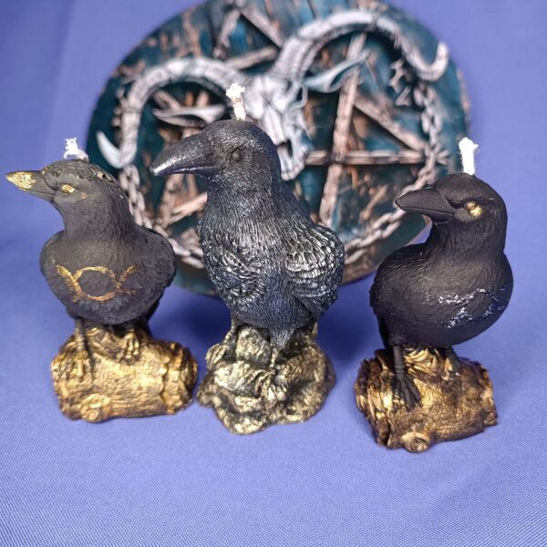 Odin's Raven